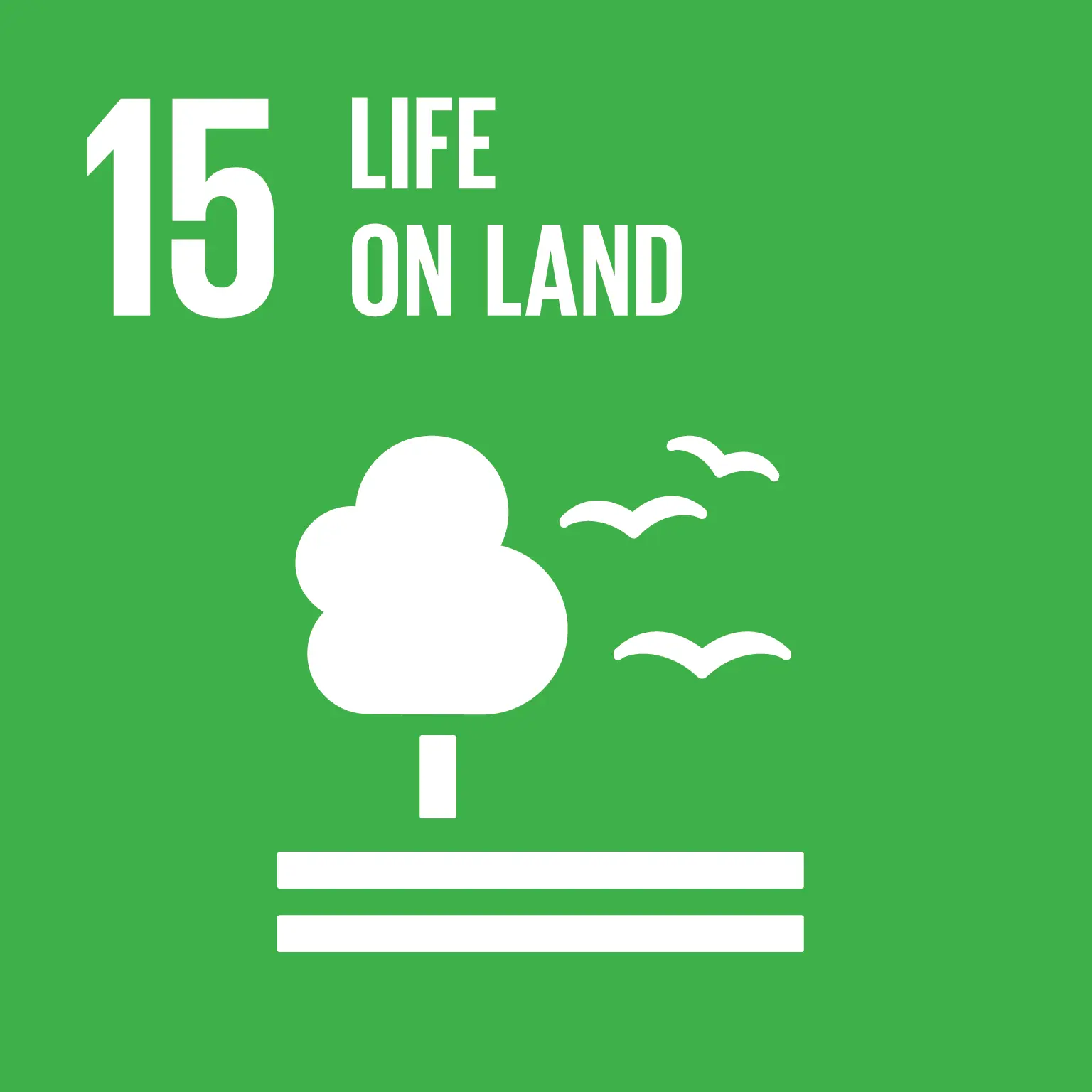 Obiettivo 15 dell'Agenda 2030 — La vita sulla terra